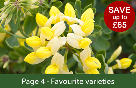 Favourite varieties