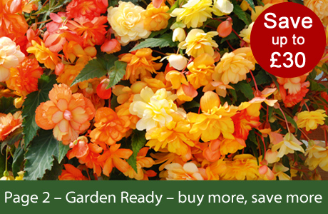 Garden Ready, buy more, save more