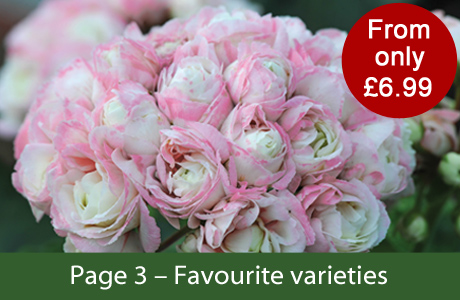 Favourite varieties