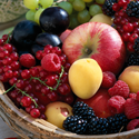 Save 20% on all Fruit Plants and Trees