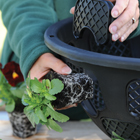 Easy-Fill Hanging Baskets