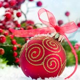 What to do in the garden in December