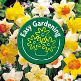 Easy Gardening with Van Meuwen
