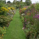 What to do in the garden in september
