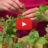 Take a look at our informative 'How to' videos