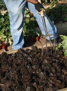 adding organic matter to soil