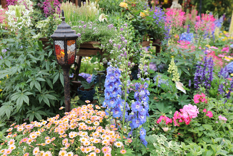 colourful perennial garden border