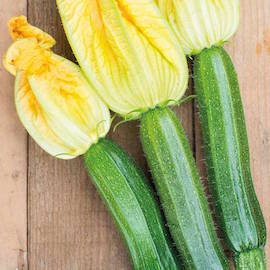 courgette flowers are wonderfully edible