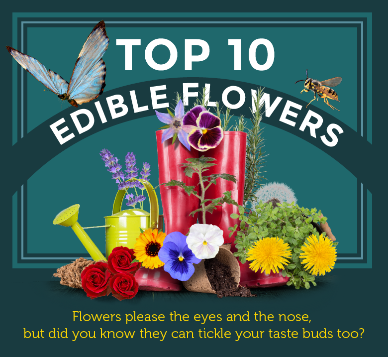 Edible Flowers Guide