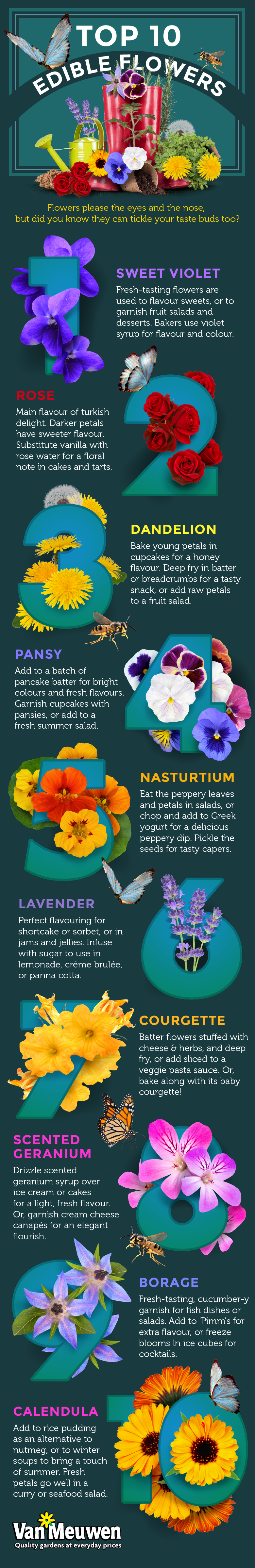 Top 10 Edible Flowers