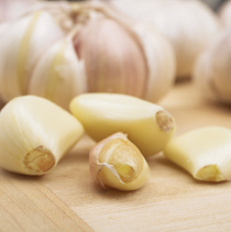 how to grow garlic