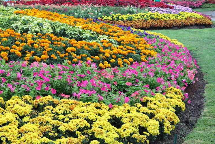 landscaped flower garden
