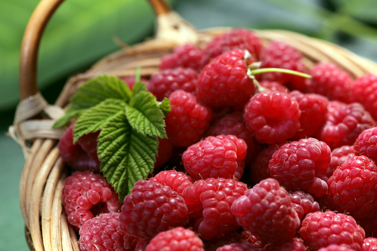 raspberries in a wicker basket