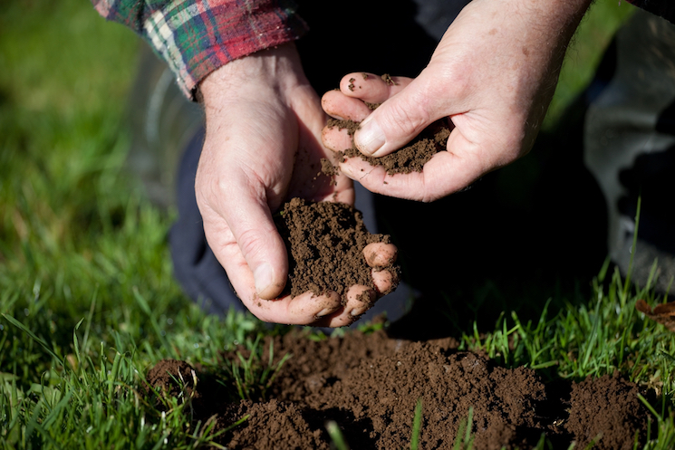 hands holding soil