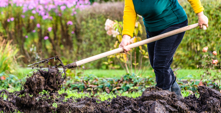 soil health