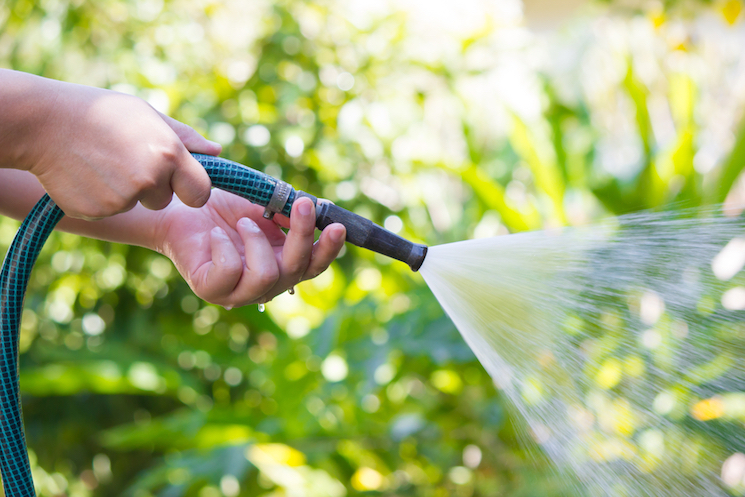 hose spraying water to garden