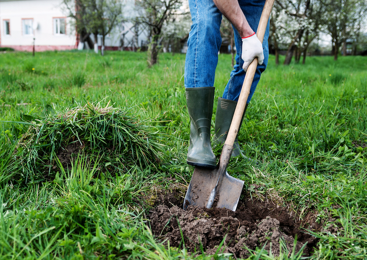 person digging hole in garden