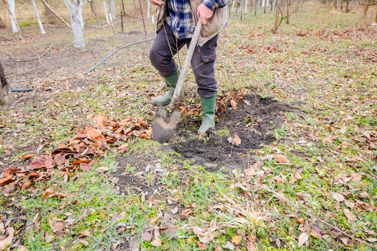 man with shovel in autumn surrounded by leaves