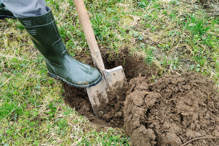 person digging hole in garden