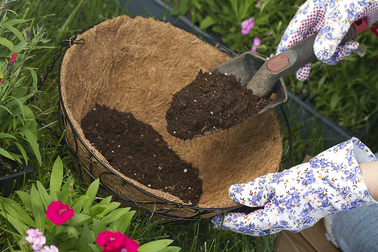 how to plant a hanging basket