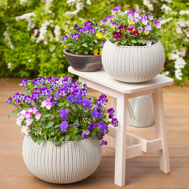 how to plant pots & containers