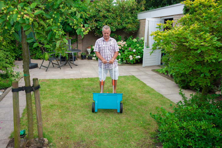 man broadcasting fertiliser on lawn