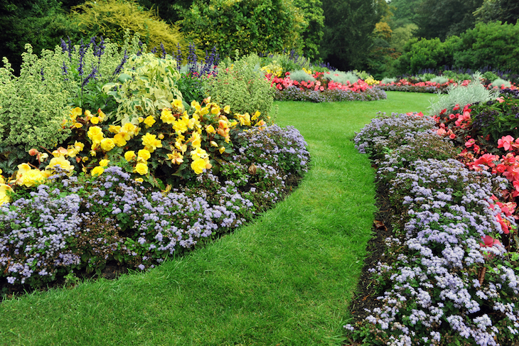 garden with organised beds