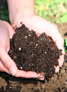 hands holding compost