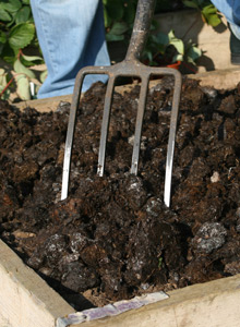 digging in manure