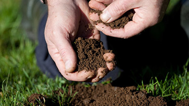 how to improve your garden soil