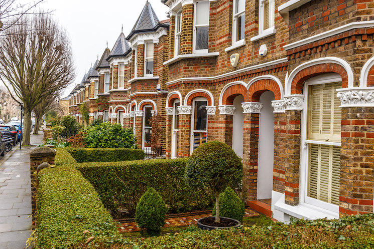 Box hedging in London garden for dry shade