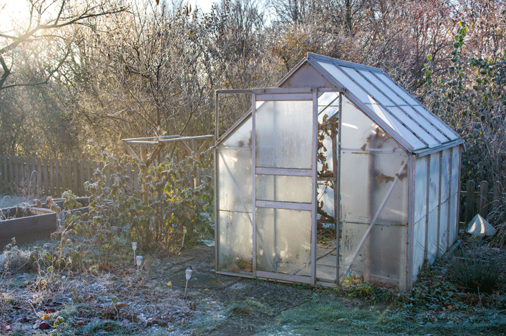  Clean greenhouse