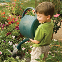 save water in the garden