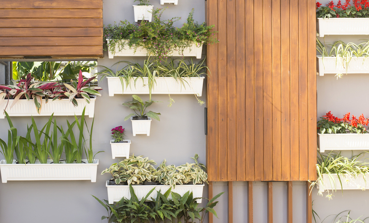 wall-mounted planters