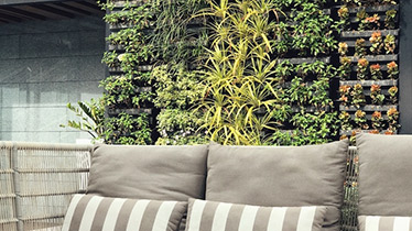 how to create a vertical garden