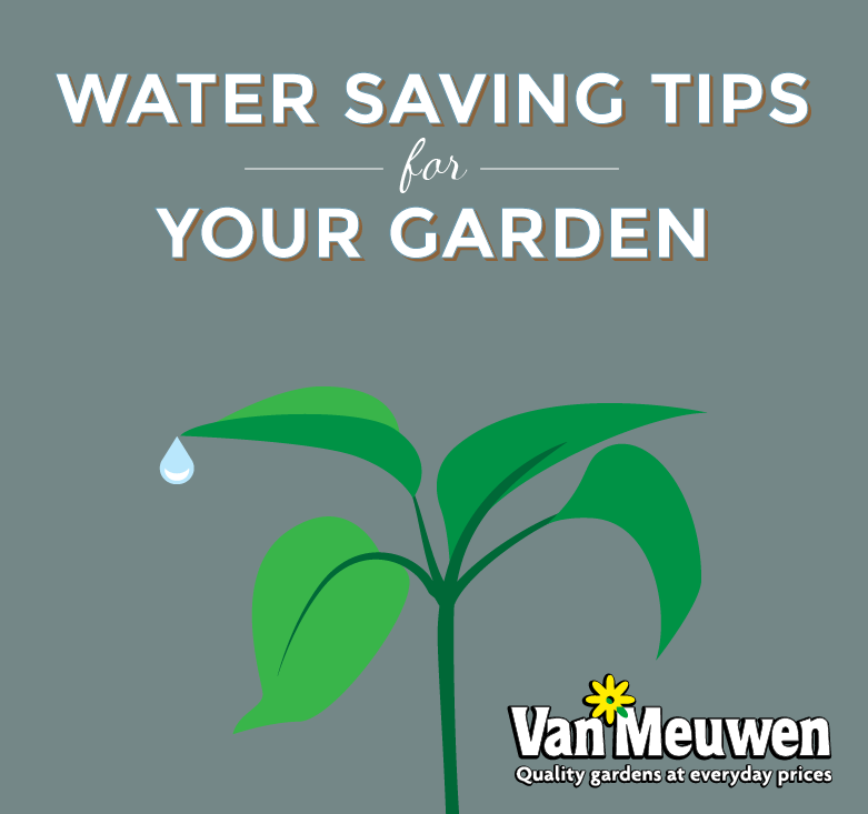 water saving tips infographic lead image van meuwen