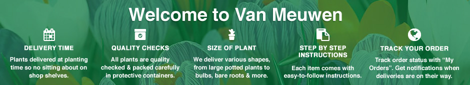 benefits of shopping with Van Meuwen