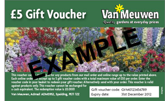 gift voucher example